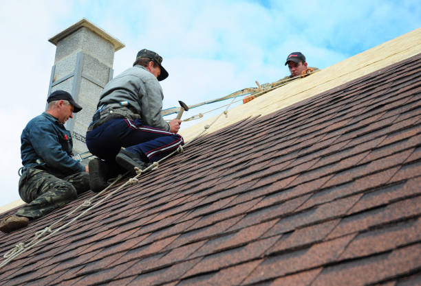 Best Metal Roofing Contractor  in East Falmouth, MA